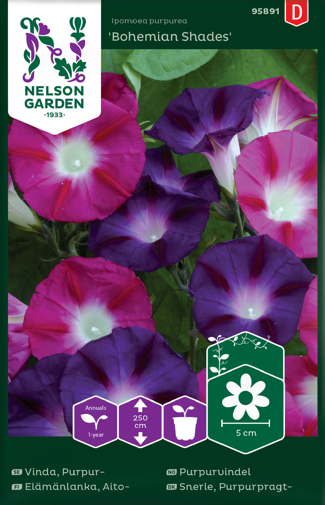 Purple Magnolia 'Bohemian Shades'